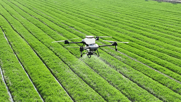 Flight control & autonomy