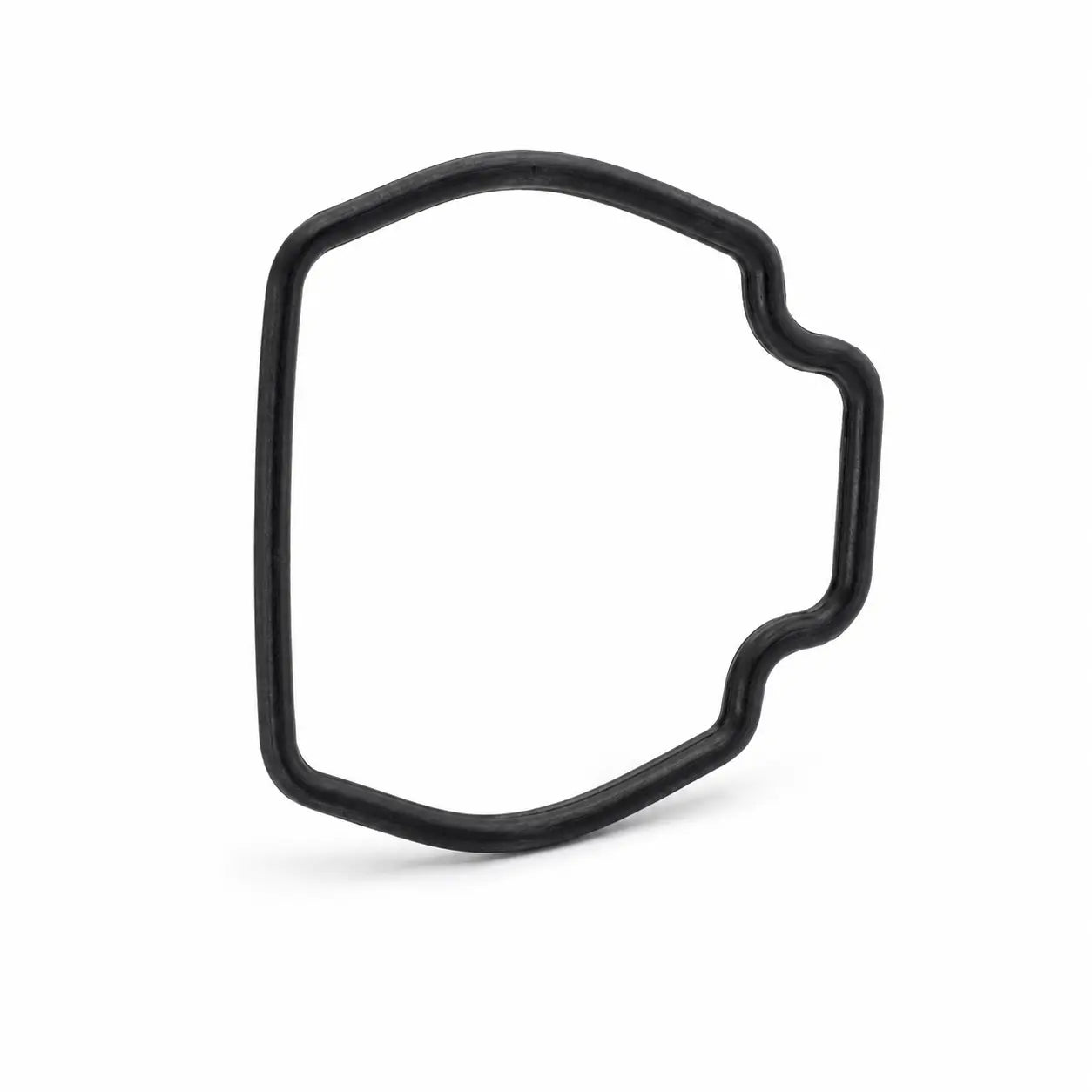 Sealing Ring L (YC.JG.MY002093)