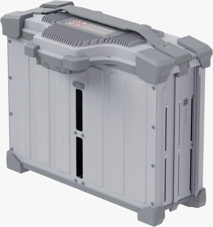 DB2160 Intelligent Flight Battery (3 pieces)