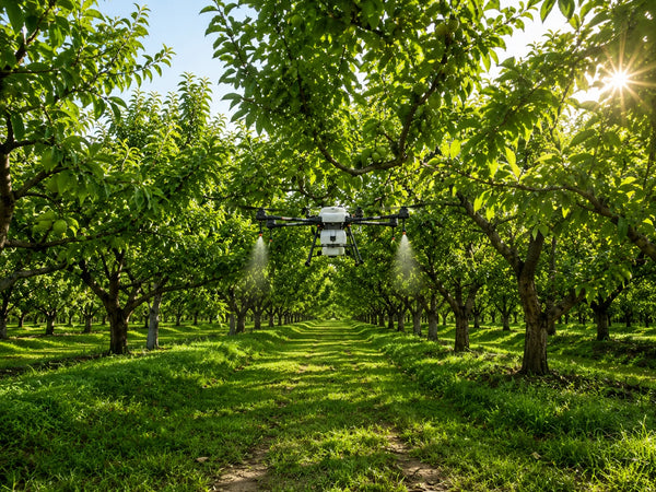 Specialty Crop Application
